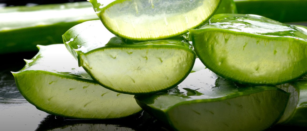 Videos Vitaltreff Planung und Orga